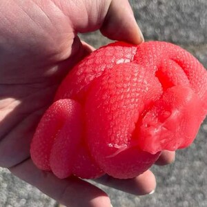 Pick 3! Druidess Skateboard Wax Shipping Included bild 10