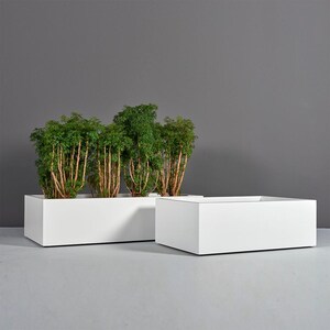 May include: Two white rectangular planters. One planter is filled with green plants with brown stems. The other planter is empty. The planters are on a gray surface with a gray background.