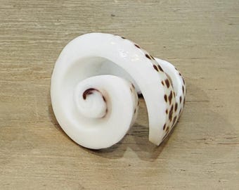 Spiral White Seashell Ring