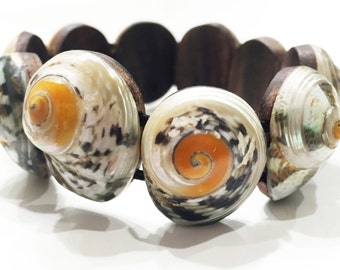 Bracelet seashells collection