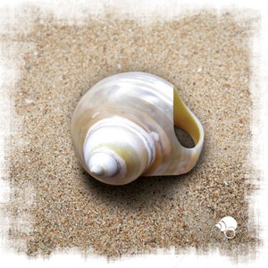 Pu&ograve; includere: Conchiglia a spirale, perlacea, con superficie liscia e lucida. La conchiglia presenta una gamma di colori dal bianco al crema e giallo. &Egrave; appoggiata su sabbia fine e chiara. Un piccolo logo nell'angolo in basso a destra.