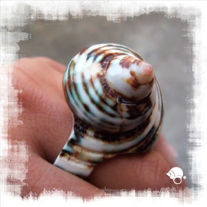 Aquamarine Seashell Ring