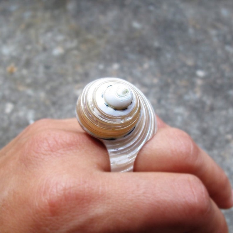 Pu&ograve; includere: Un anello unico con un design a conchiglia naturale. L'anello presenta una conchiglia a spirale nei toni del bianco, beige e blu, montata su una fascia argentata. L'anello a conchiglia &egrave; un gioiello distintivo.