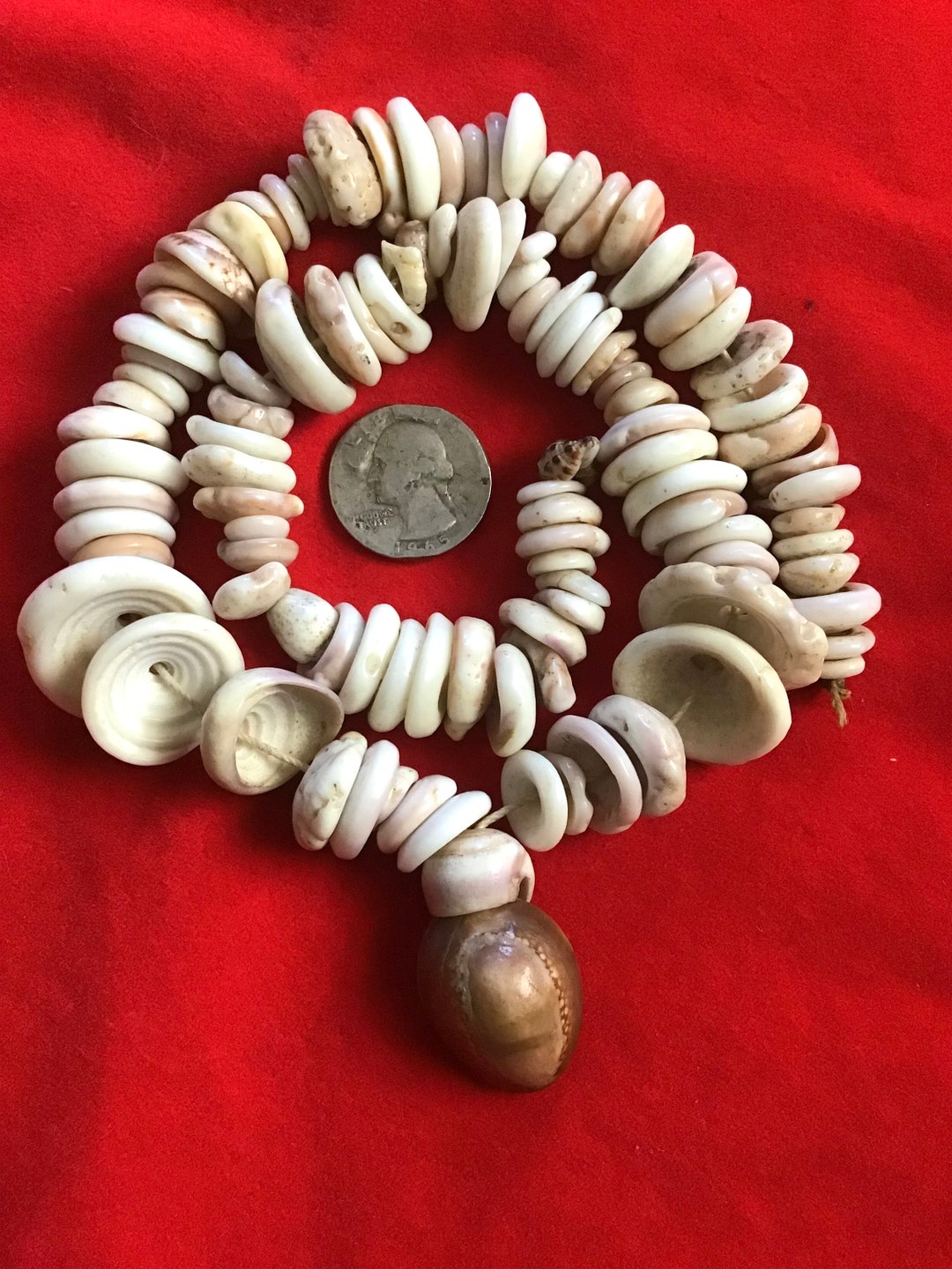 Pukas Pattern VTG as Found Puka Necklace on Cord Cowrie Center No Clasp Huge Medium ...