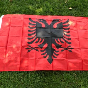 May include: A red flag featuring a black double-headed eagle emblem. The flag has a white border on the left edge and is laid out on a green grassy surface.