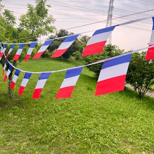 Drapeaux France 20 pcs | Banderoles France drapeaux 14 x 21 cm