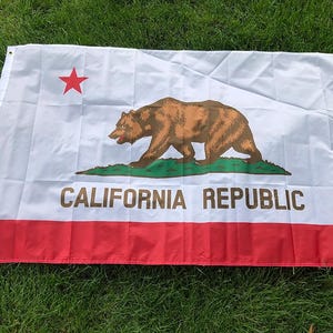 California State Flag Indoors or Outdoors