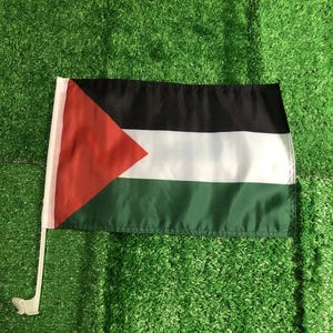 May include: A Palestinian flag with a red triangle on the left side, black stripe on top, white in the middle, and green on the bottom. The flag is attached to a white pole and is displayed against a green background.