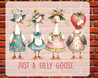 Silly Goose DTF Transfer: Sarcastic Heat Press Iron On
