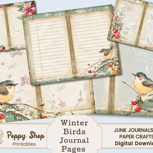 Journal d'ordure d'hiver, Pages de journal d'ordure d'oiseaux d'hiver, oiseaux de neige, imprimable, Noël, journal d'ordure, collage, découpage, éphémères d'hiver