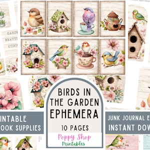 Puede incluir: Papel digital imprimible para scrapbooking con 10 páginas de ilustraciones de pájaros y pajareras. El papel es perfecto para añadir un toque de fantasía a tus proyectos de manualidades.