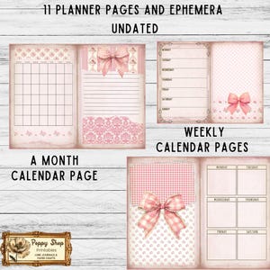 May include: Printable planner pages with pink and white gingham, floral, and damask patterns. The pages include a monthly calendar, weekly calendar, and lined notes pages. The text "11 Planner Pages and Ephemera Undated" is at the top of the image.