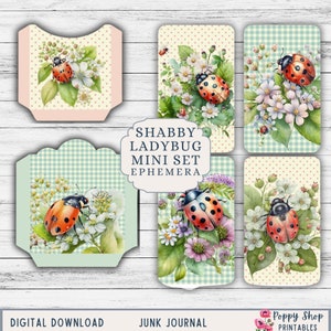 Effimera coccinella, diario spazzatura coccinella, vintage, kit diario spazzatura shabby, effimera stampabile, forniture, collage, diario, kit digitale