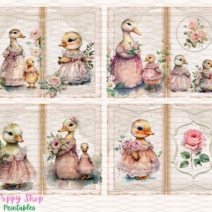 May include: A digital collage sheet featuring six images of ducks wearing pink dresses and holding flowers. The ducks are surrounded by pink roses and other floral elements. The images are set against a white background with a distressed, vintage look.