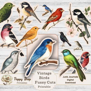 Pegatinas de pájaros recortados con técnica de corte, pájaros vintage, pegatinas de pájaros recortados con técnica de corte, imprimibles, diario basura, decoupage, efímeras, adornos para álbumes de recortes