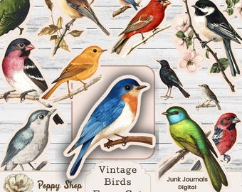 Vintage Bird Clipart Fussy Cuts, Junk Journal, Card Making  and Scrapbook Embellishments (Digital Download)