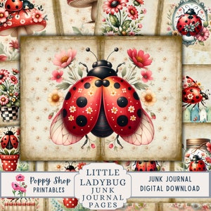Marienkäfer Junk Journal, Marienkäfer Journal Seiten, floral, Bunt, Printable Junk Journal Kit, Marienkäfer Ephemera, Digital Collage Sheet, Download