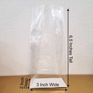 May include: Clear plastic bag with a 6.5 inch tall, 3 inch wide, and 2 inch deep capacity.