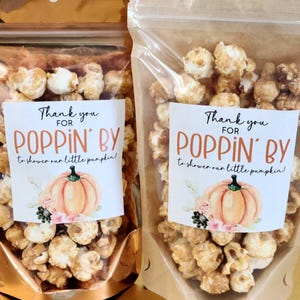 Pumpkin baby shower fall thanks for popping by popcorn baby shower favors 3" stickers and treat bags, Autumn zip bags orange gender neutral