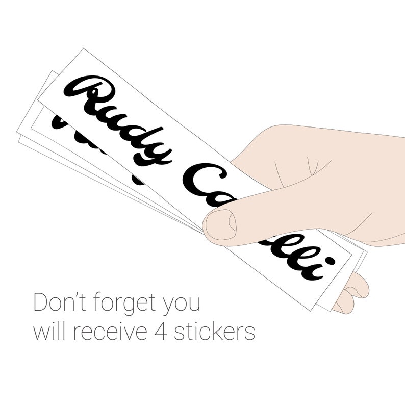 bike frame name stickers