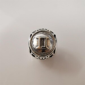 Pandora Zodiac STAR SIGN Silver Charm All 12 Horoscope