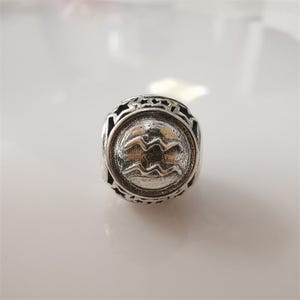 Pandora Zodiac STAR SIGN Silver Charm All 12 Horoscope