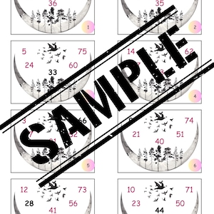 5 Ball Houdini bingo Holds Tickets