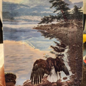 May include: A ceramic plate with a scenic image of a mountain lake with a bald eagle perched on a rock in the foreground. The eagle has its wings spread wide and is looking towards the lake. The background features a mountain range and a forest.