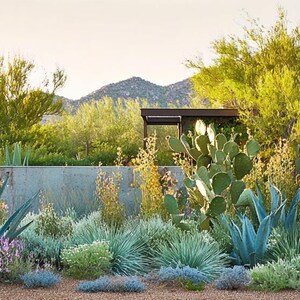 Southwest Garden Design Border - Planting Plan (full Sun) - Etsy