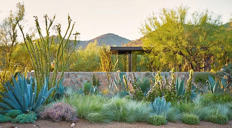 Southwest Garden Design Border - Planting Plan (full Sun) - Etsy