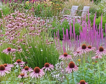 Front Yard Garden Design (Full Sun) Planting Plan