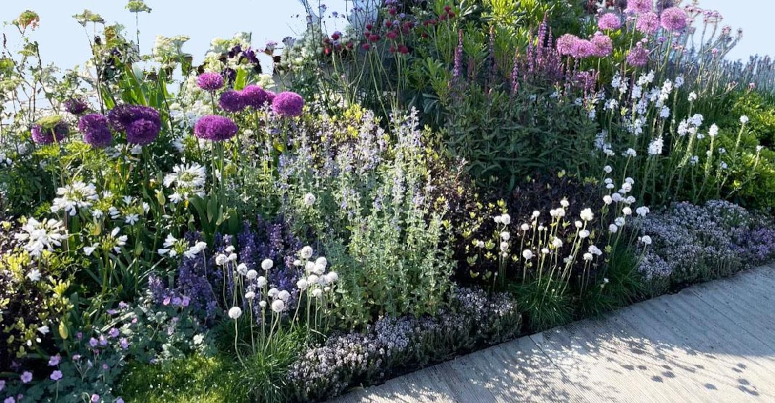 Spring Garden Design Border - Planting Plan (full Sun) - Etsy