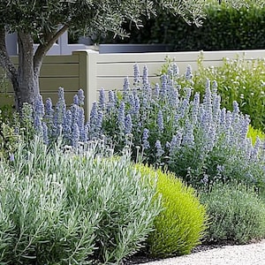 Diseño de jardín de estilo rústico moderno (a pleno sol)