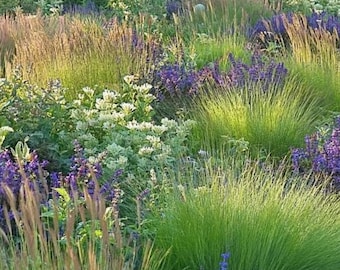 Pacific Northwest Garden Design - Planting Plan (Full Sun)