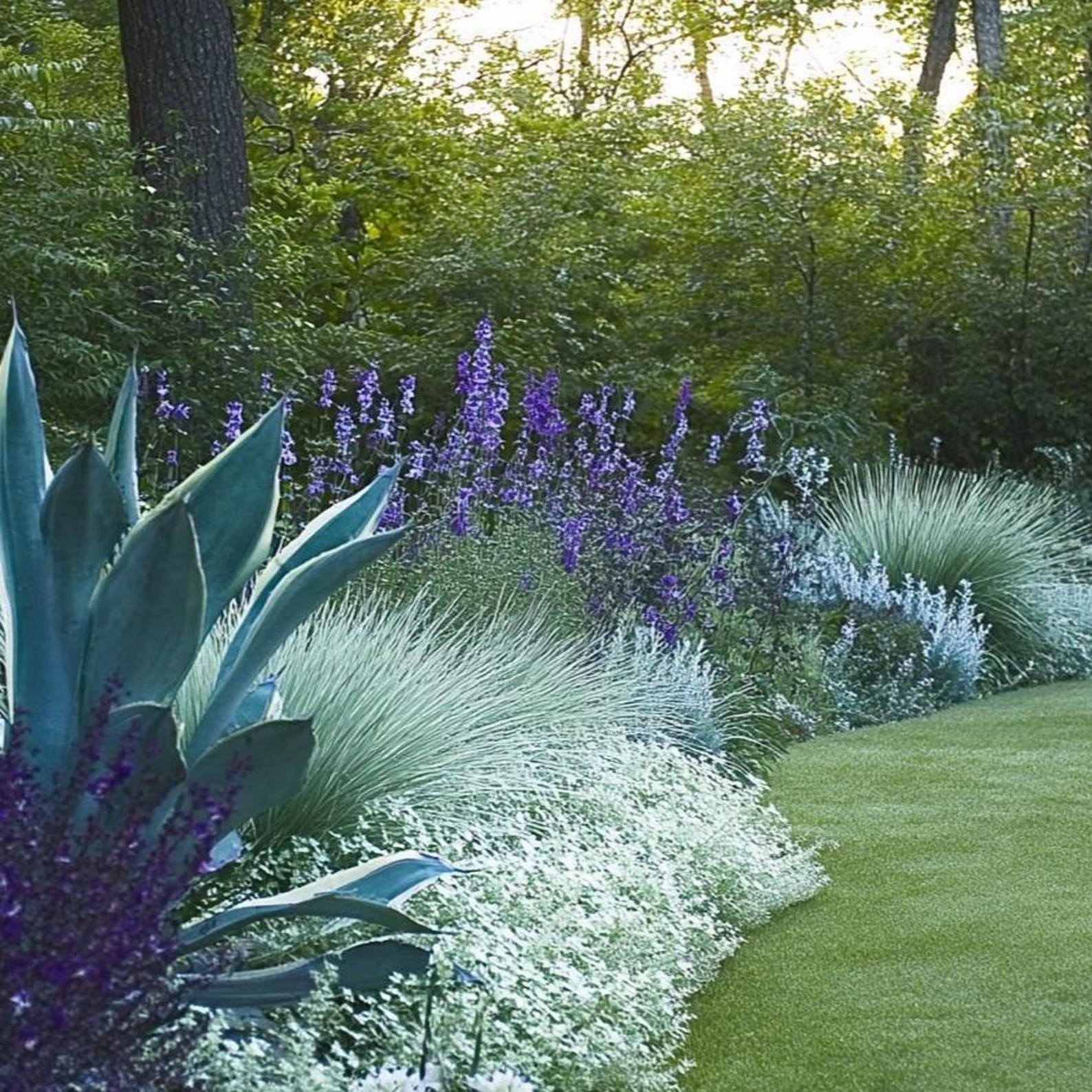 Blues Garden Border Planting Plan: Full Sun (digital Download) - Etsy