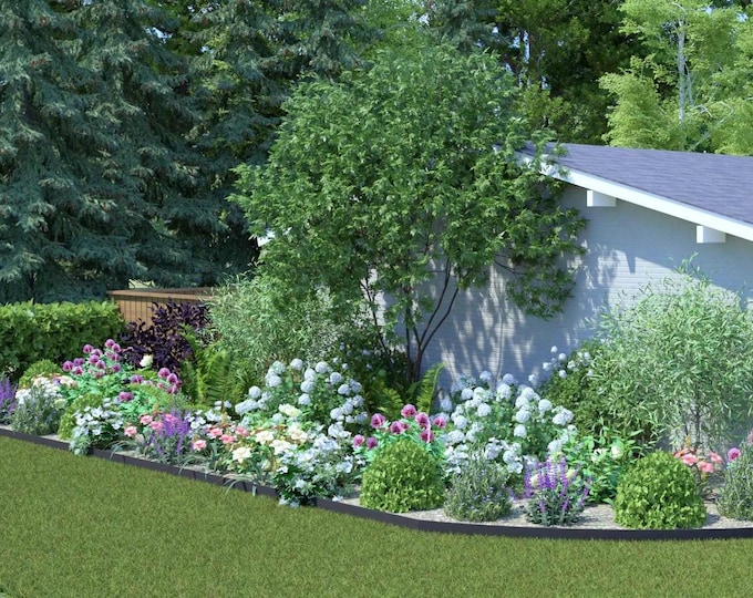 Four Seasons Flowering Border - Garden Design - Planting Plan (full Sun ...