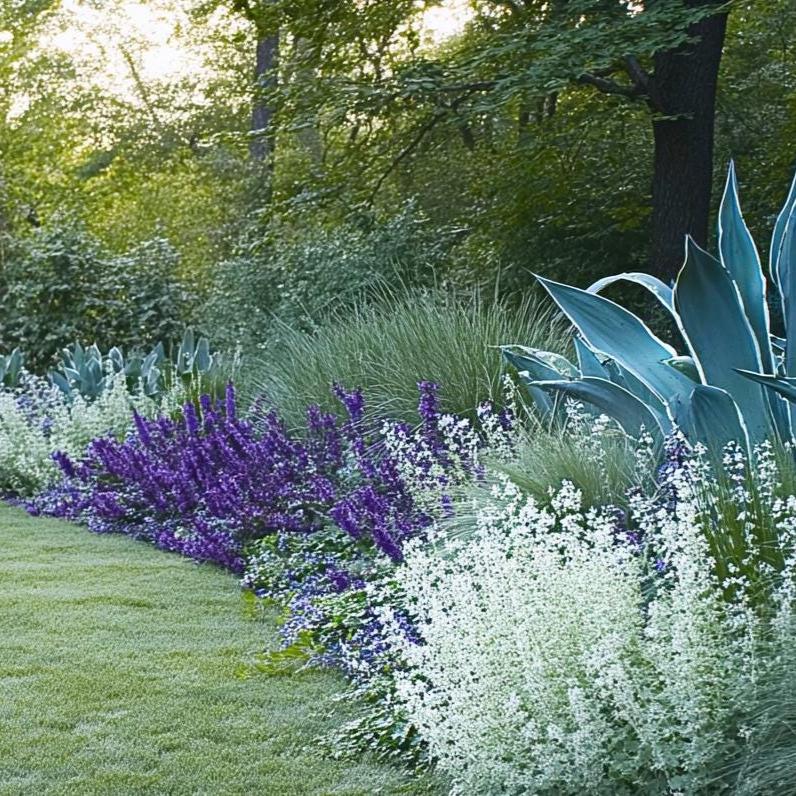 Blues Garden Border Planting Plan: Full Sun (digital Download) - Etsy