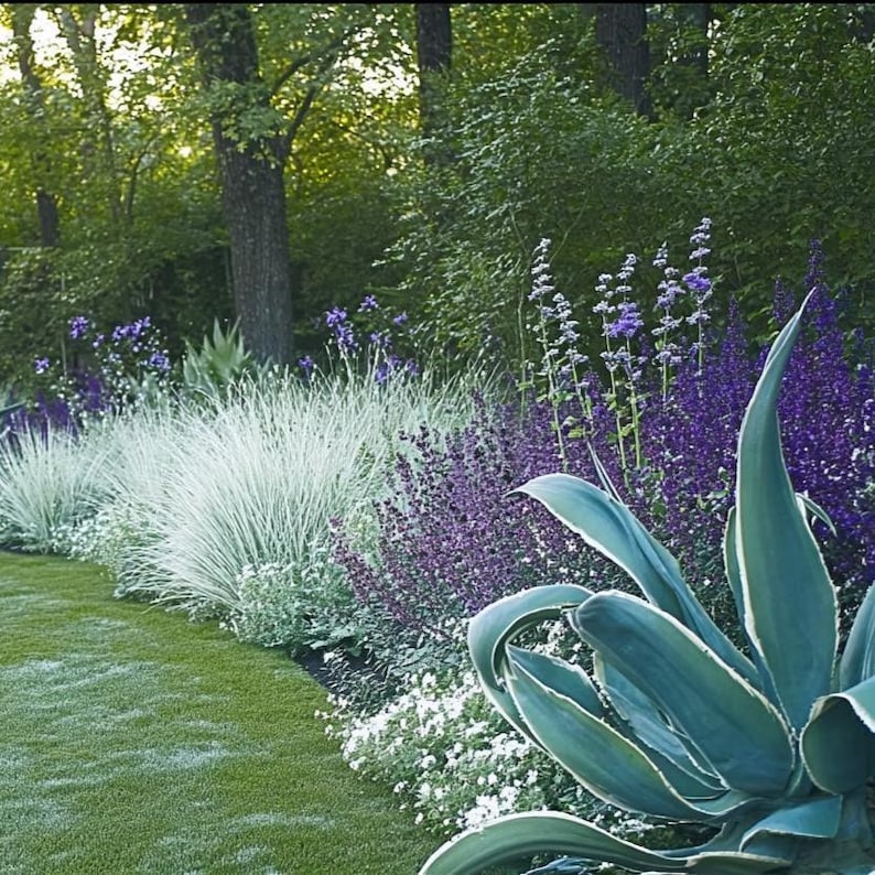 Blues Garden Border Planting Plan: Full Sun (digital Download) - Etsy