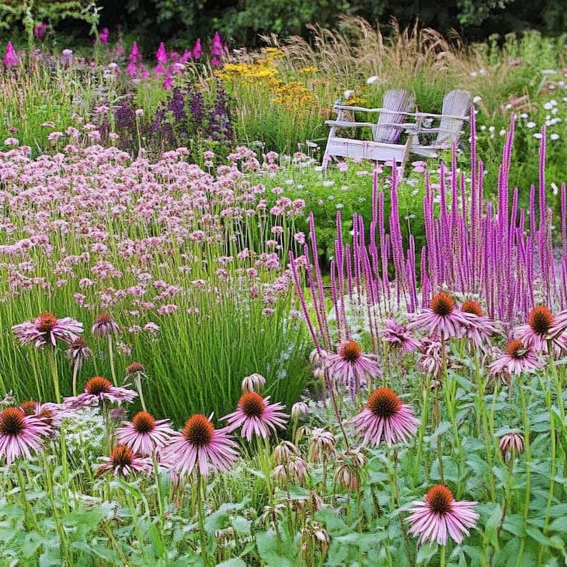 Front Yard Garden Design (full Sun) Planting Plan - Etsy