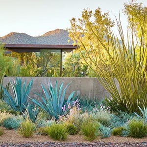 Southwest Garden Design Border - Planting Plan (full Sun) - Etsy