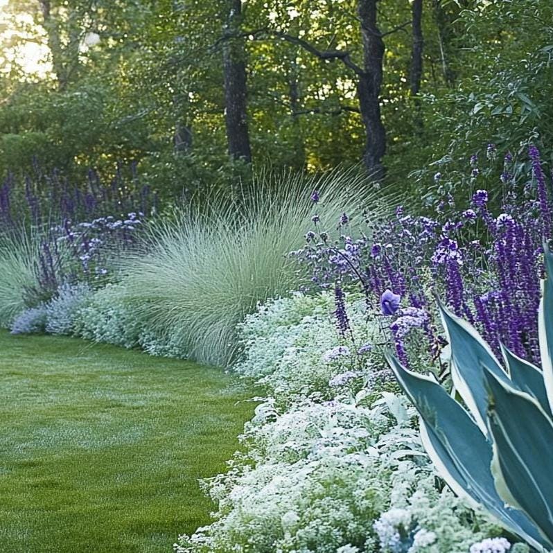 Blues Garden Border Planting Plan: Full Sun (digital Download) - Etsy