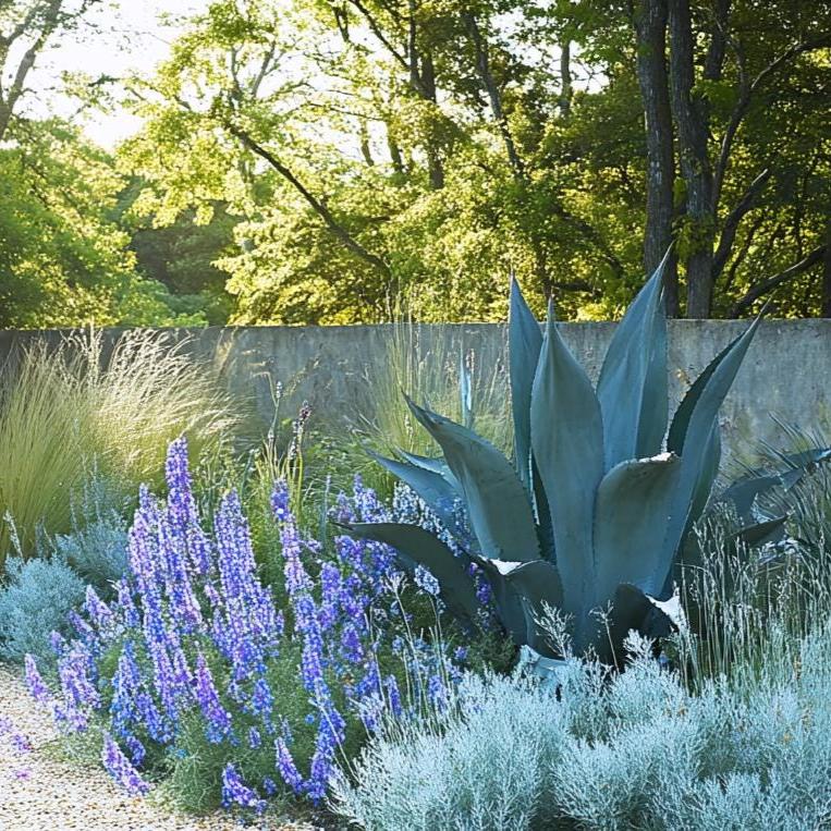 Mediterranean Blues Garden Design Border (full Sun) Planting Plan - Etsy