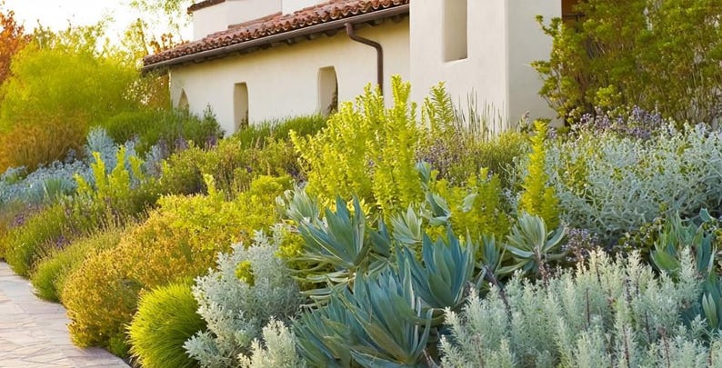 Spanish Garden Design Border: Planting Plan - Full Sun - Etsy