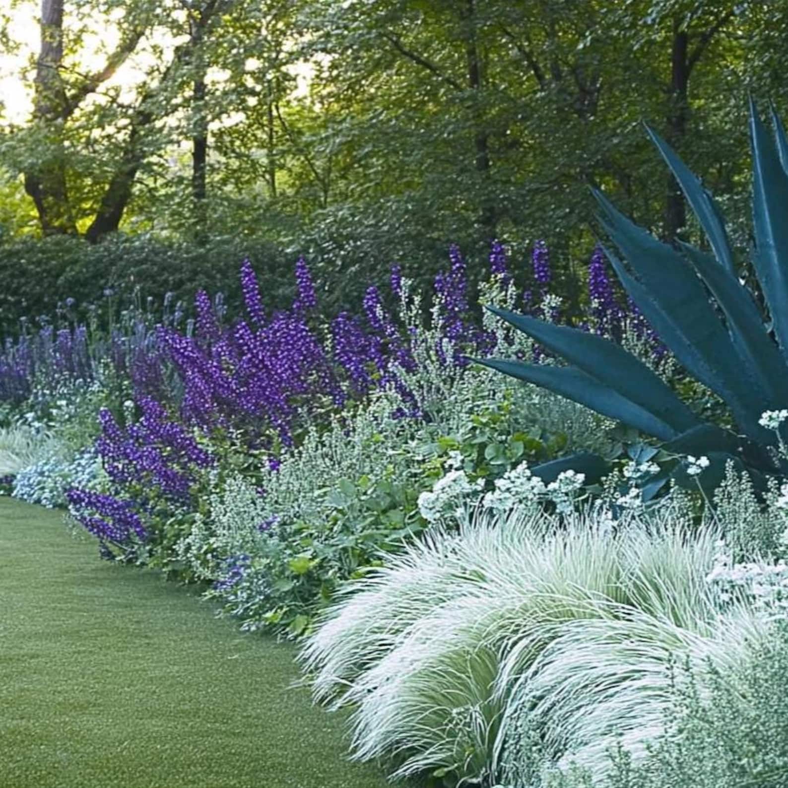 Blues Garden Border Planting Plan: Full Sun (digital Download) - Etsy