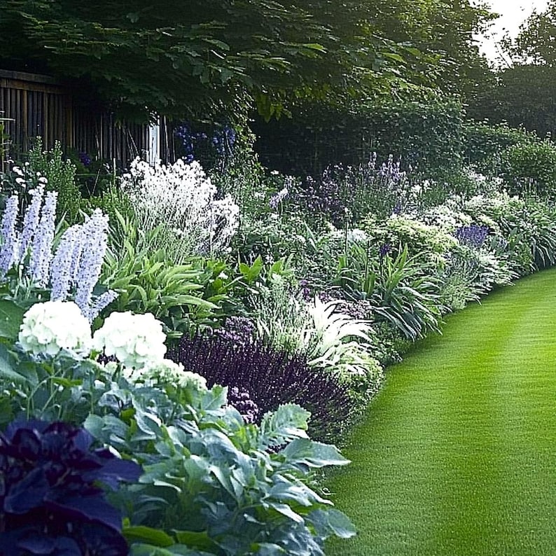 Burgundy & Sage Garden Design Border - Planting Plan (full Sun) - Etsy