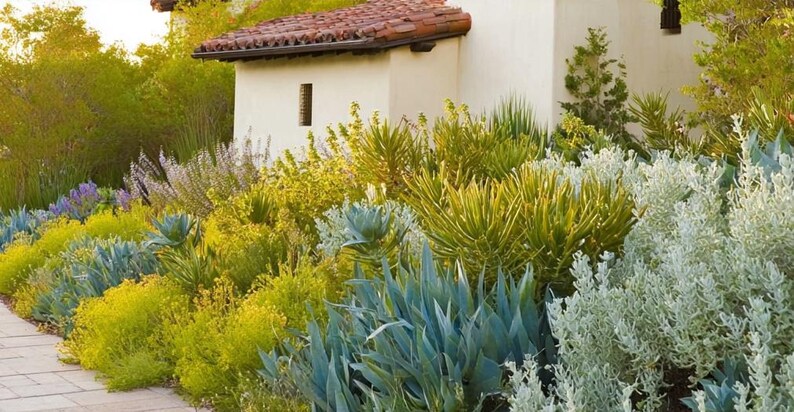 Spanish Garden Design Border: Planting Plan - Full Sun - Etsy