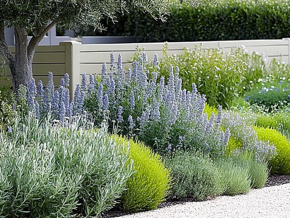 Modern Farmhouse Garden Border Design