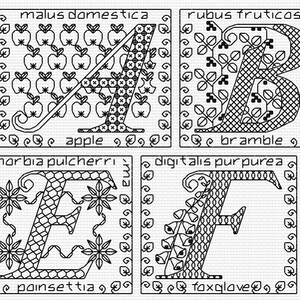 Blackwork Floral Alphabet Sampler Chart PDF CHART image 3