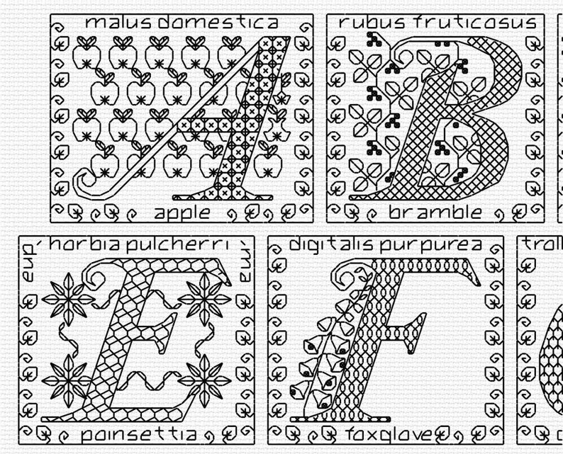 Blackwork Floral Alphabet Sampler Chart PDF CHART image 3