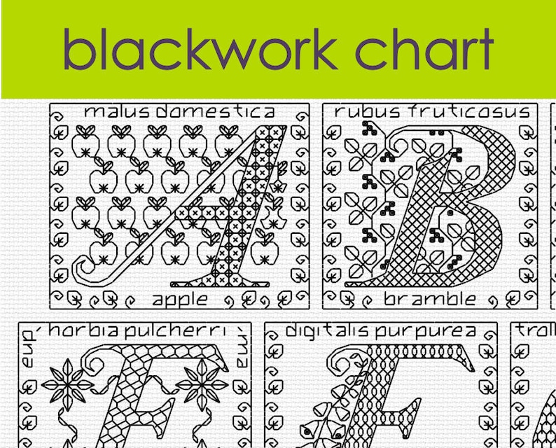 Blackwork Floral Alphabet Sampler Chart PDF CHART image 1